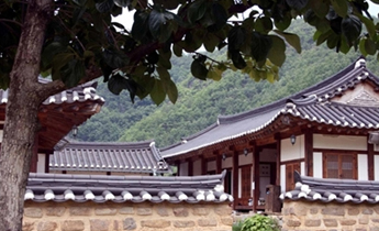 안동 농암종택