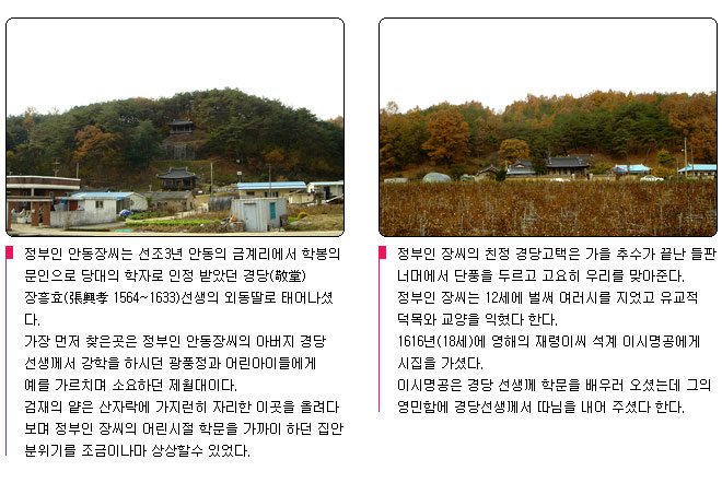 정부인 안동장씨의 발자취를 따라