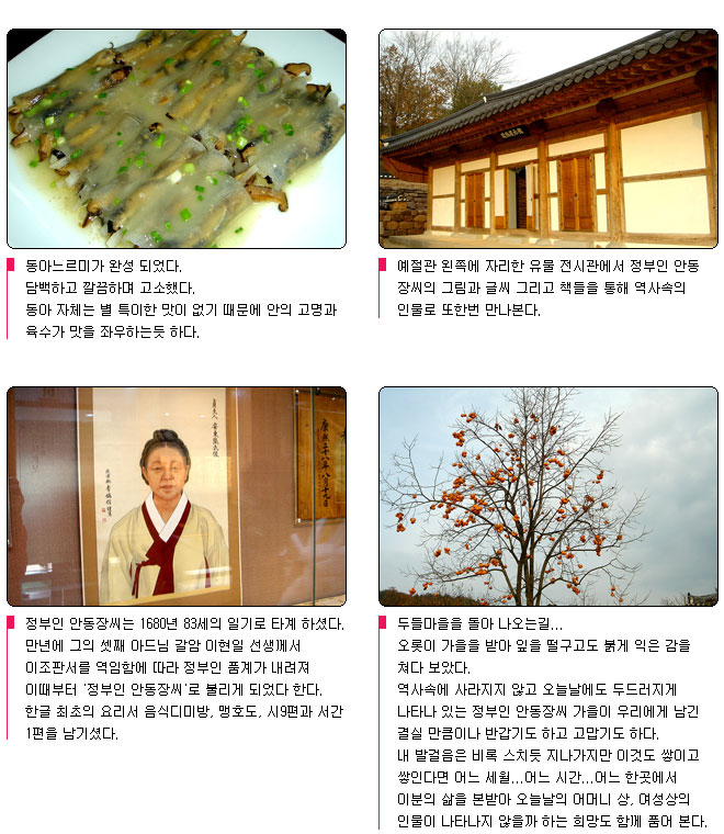 정부인 안동장씨의 발자취를 따라