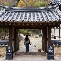 ÀüÅë°ú Çö´ëÀÇ Á¶È, °íÁî³ËÇÑ ÇÑ¿Á Ä«Æä ¡®±¸¸§¿¡ 396Ä¿ÇÇ¡¯