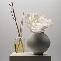 �ȵ���, �����귣�� ���ȵ����汸�� ���� ��Ī