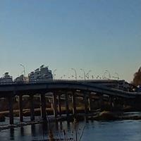 ������ ���� ���